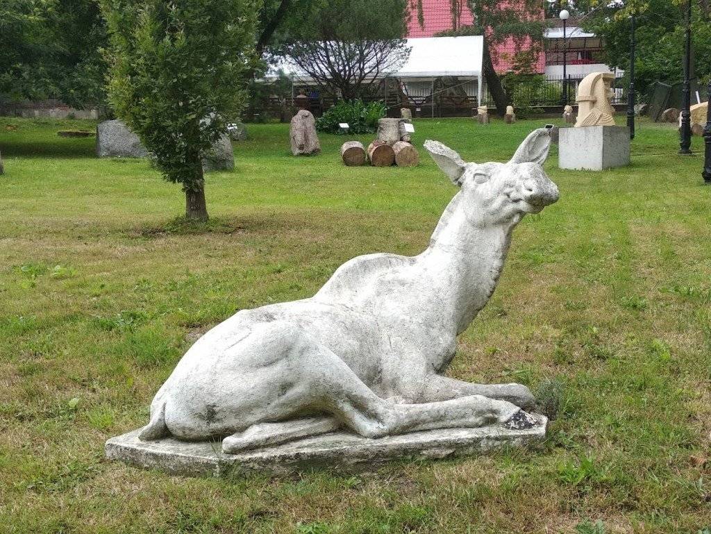 Обложка места Дом-музей Германа Брахерта