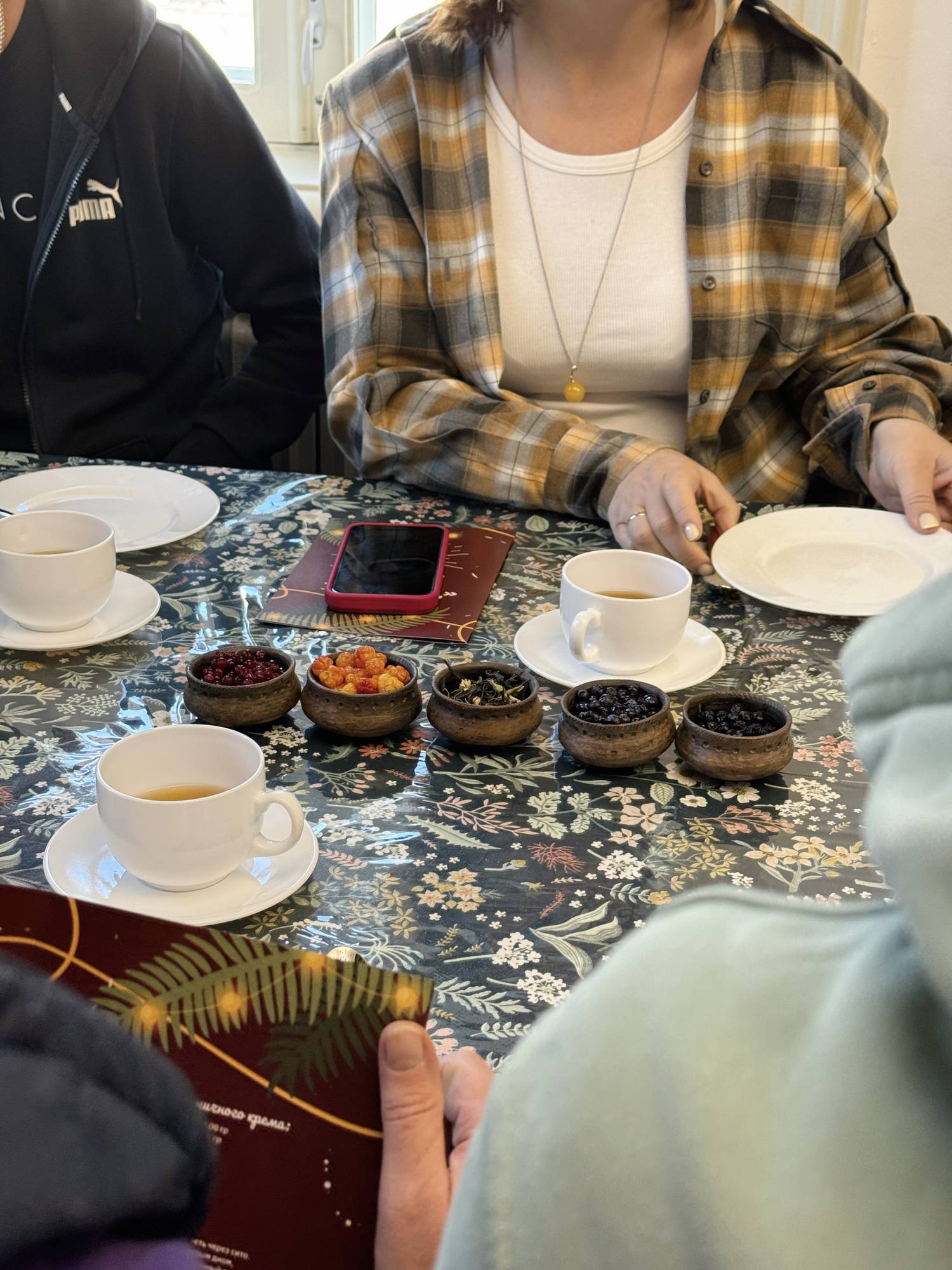 Гастрономический артистолк «Легенда о ягодном сиянии»