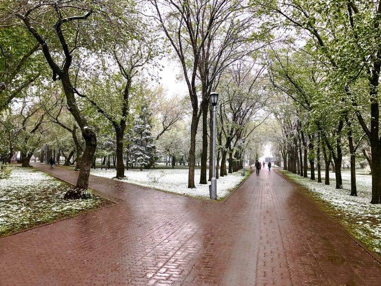 Обложка места Первомайский сквер