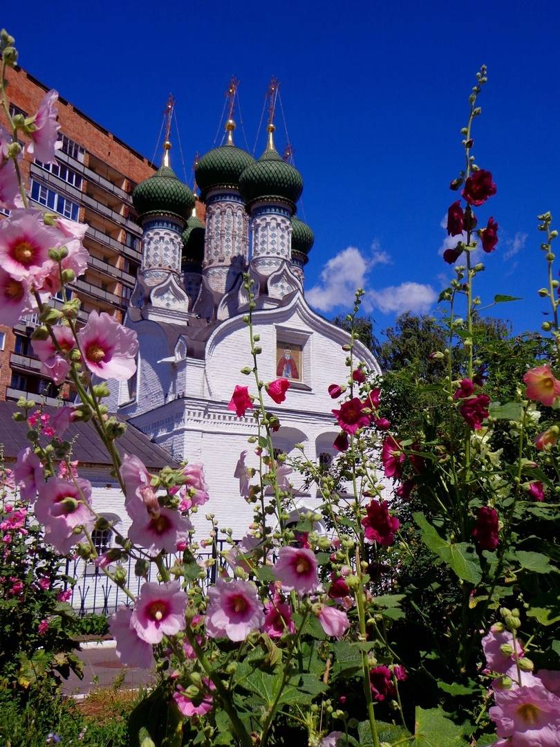 Краткий курс нижегородизации