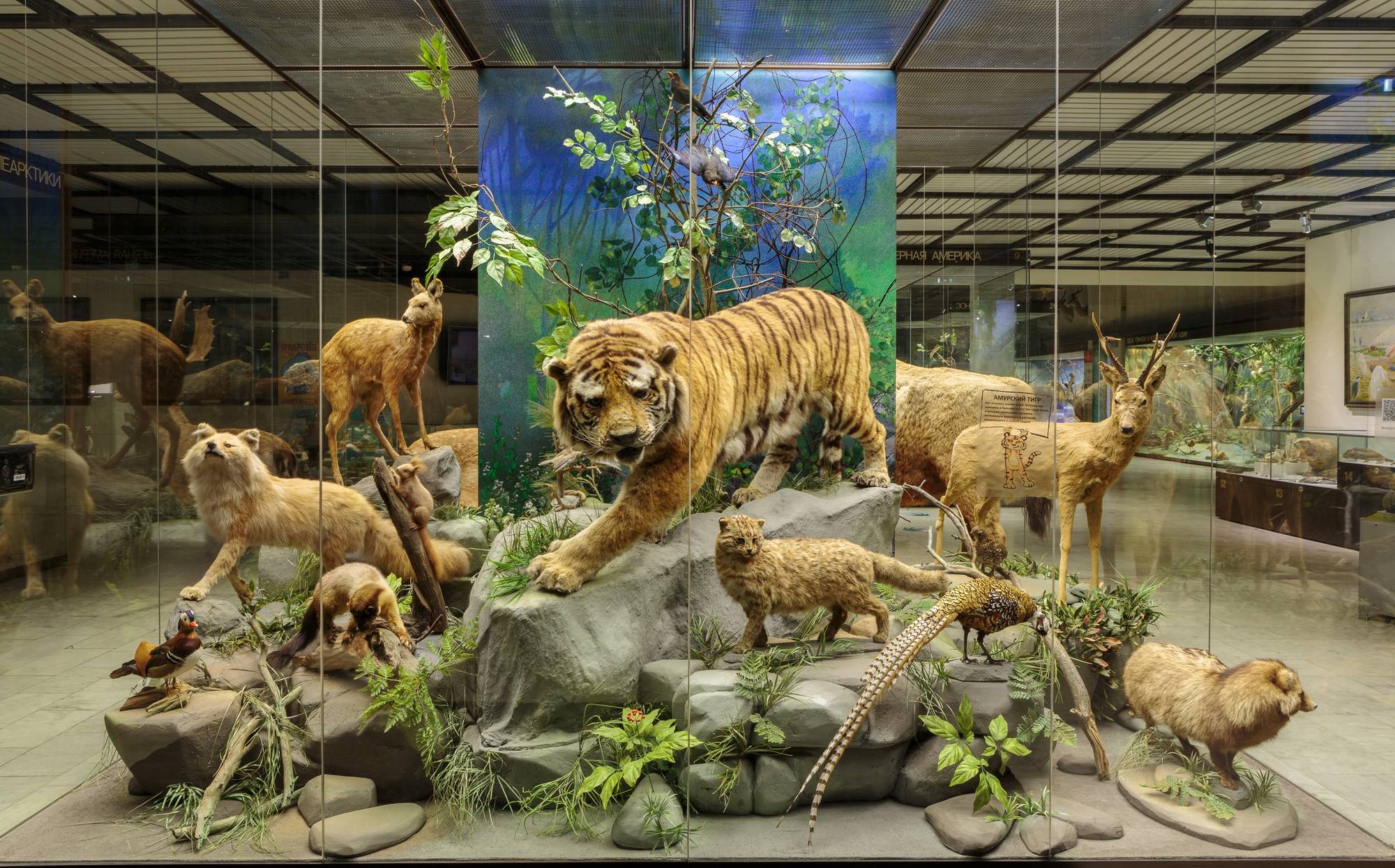 Обложка места Государственный Дарвиновский музей