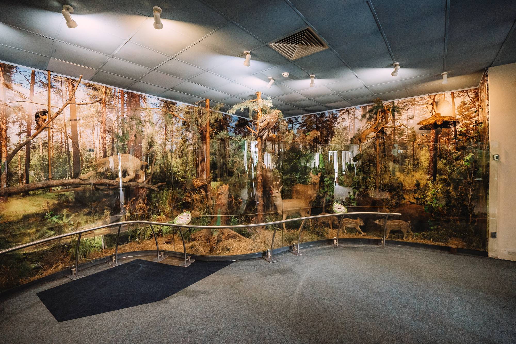 Обложка места Музей природы