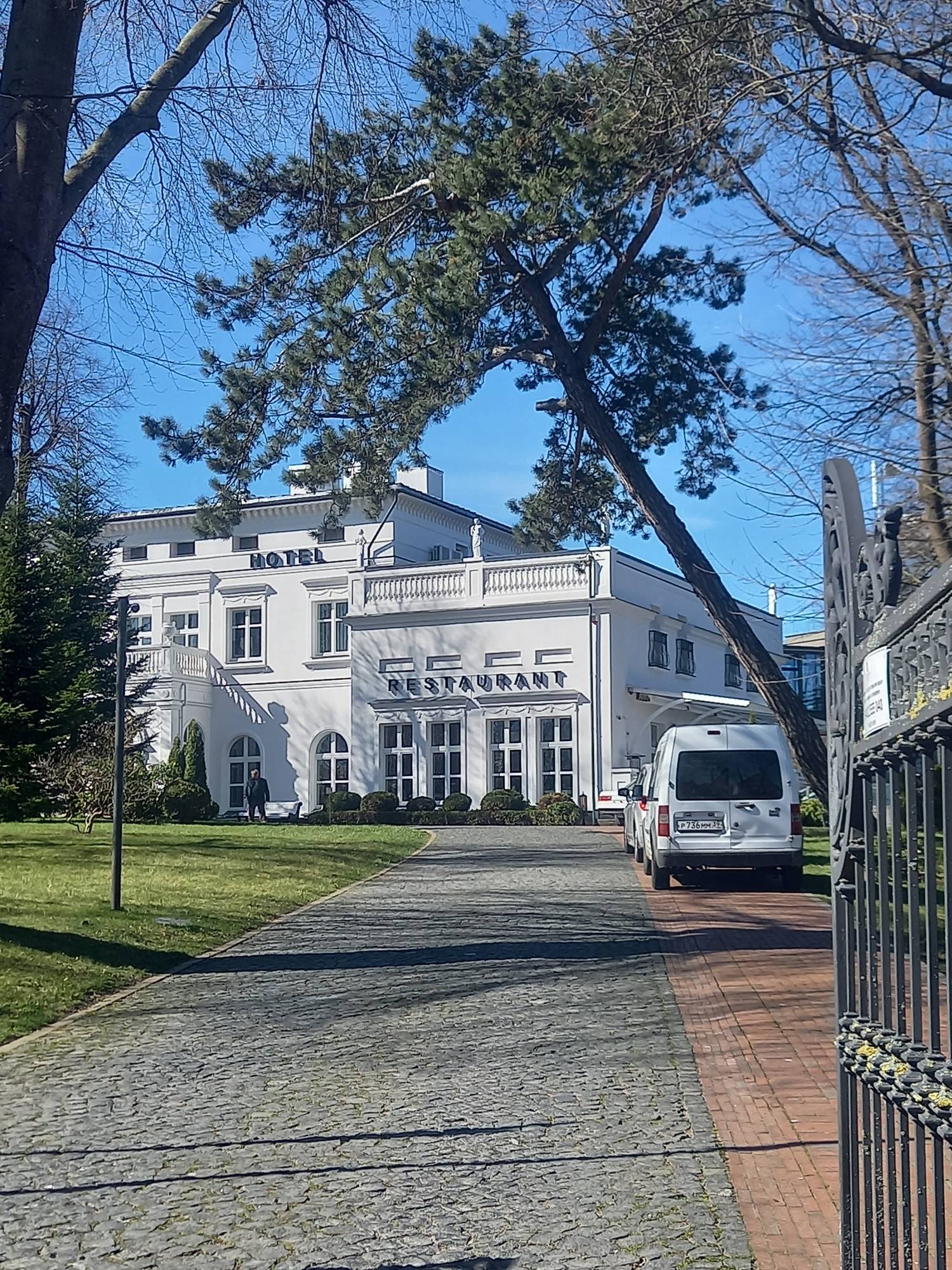 Тайны янтаря