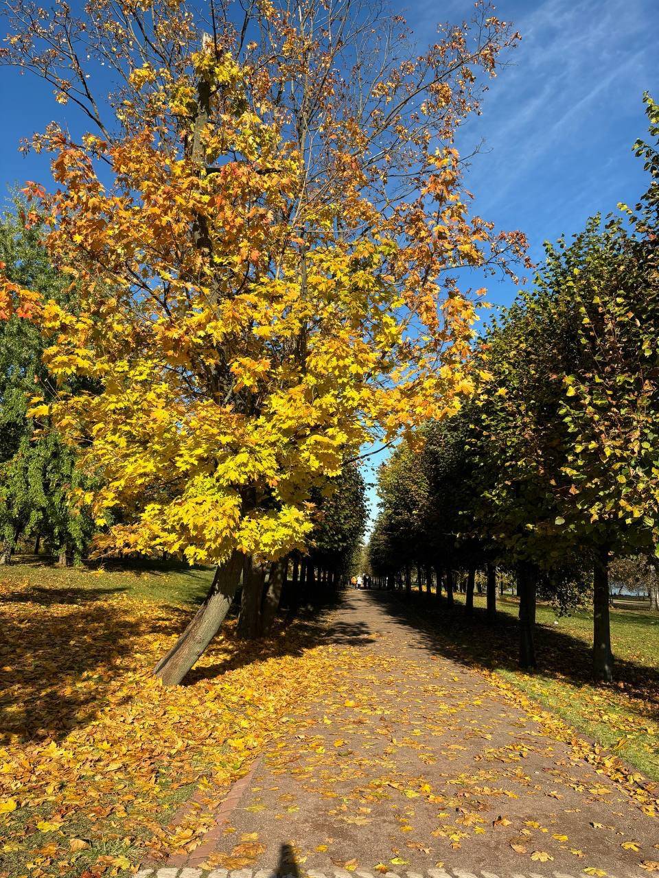 Волшебное Царицыно
