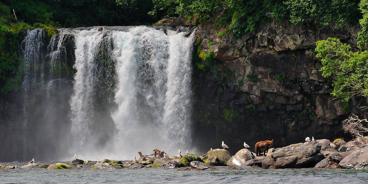 Обложка места Водопад Птичий