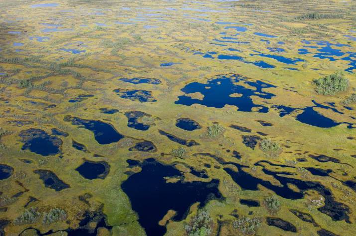 Обложка места Васюганские болота