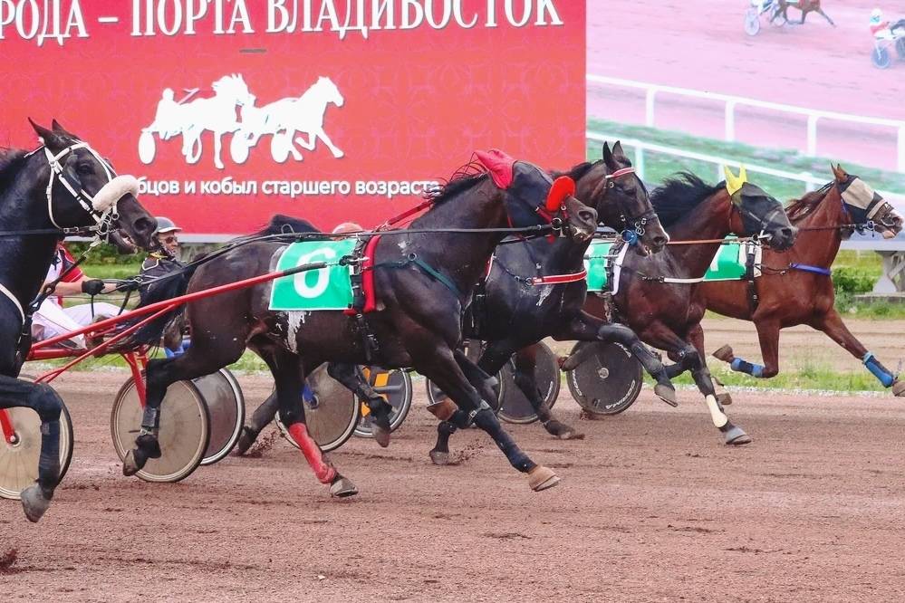 Обложка места Казанский ипподром