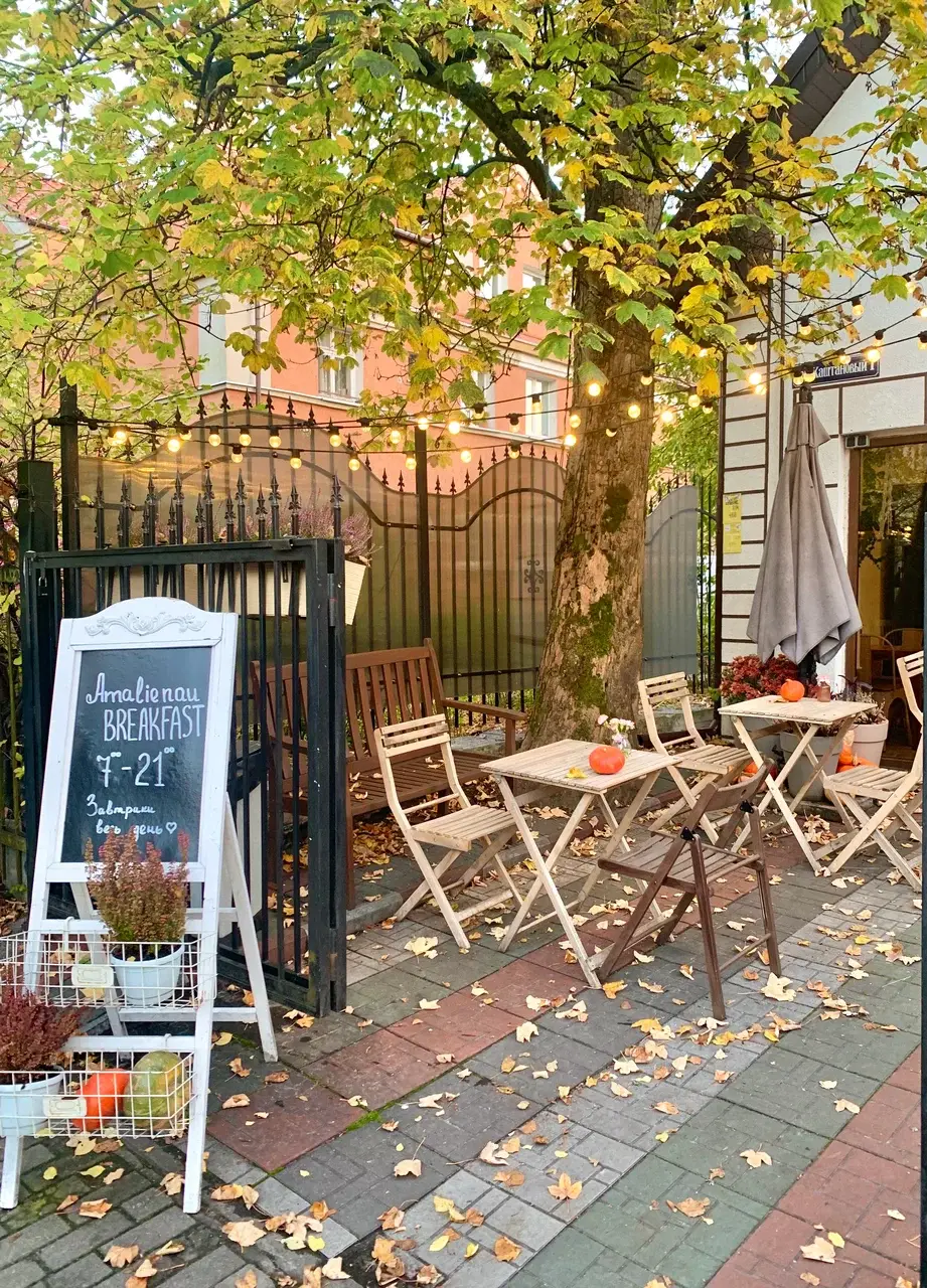 Обложка места Кафе Amalienau breakfast