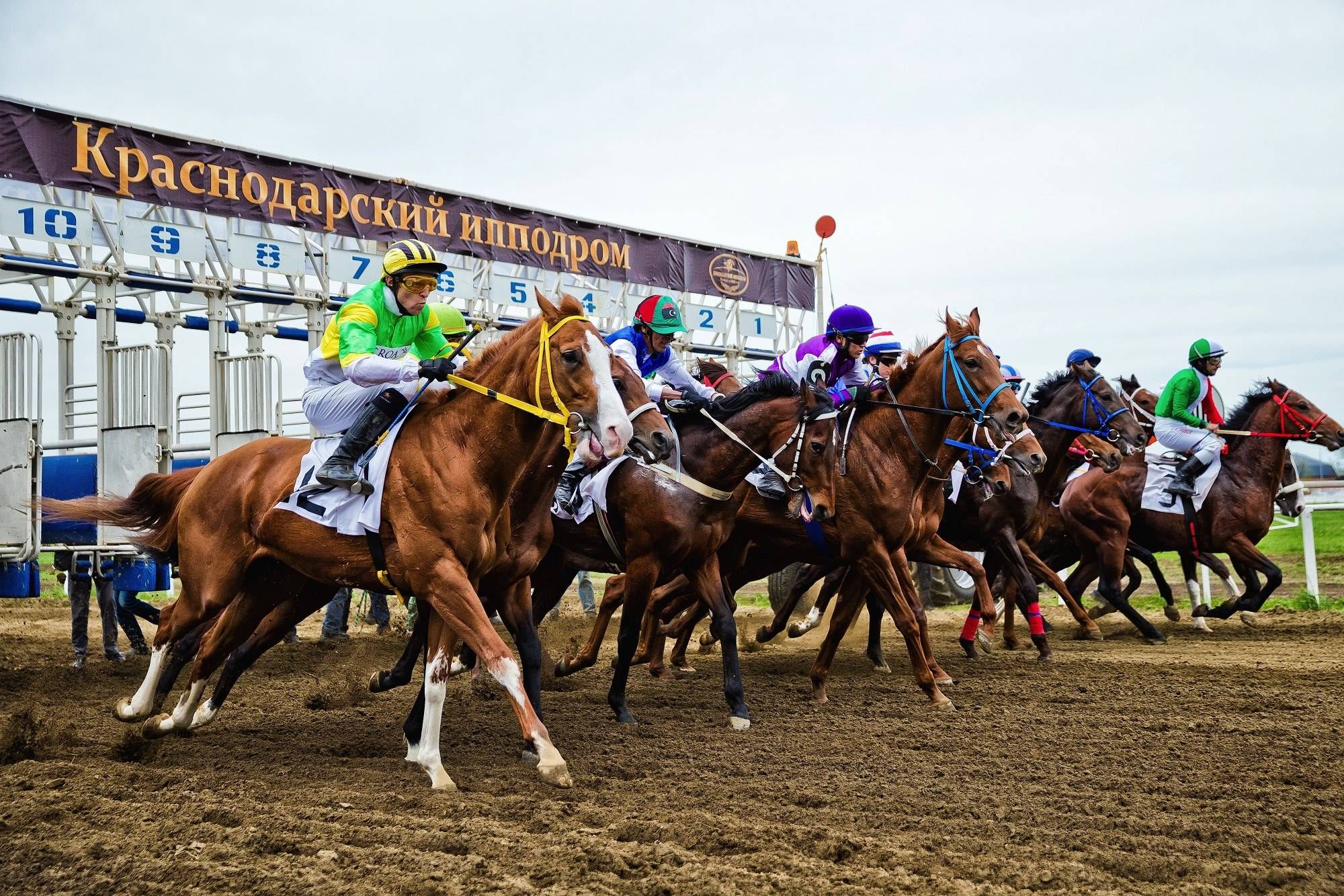 Обложка места Краснодарский ипподром