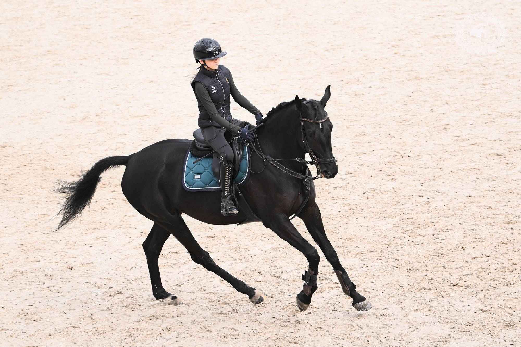 Обложка места Конно-спортивный клуб «Конная Лахта»