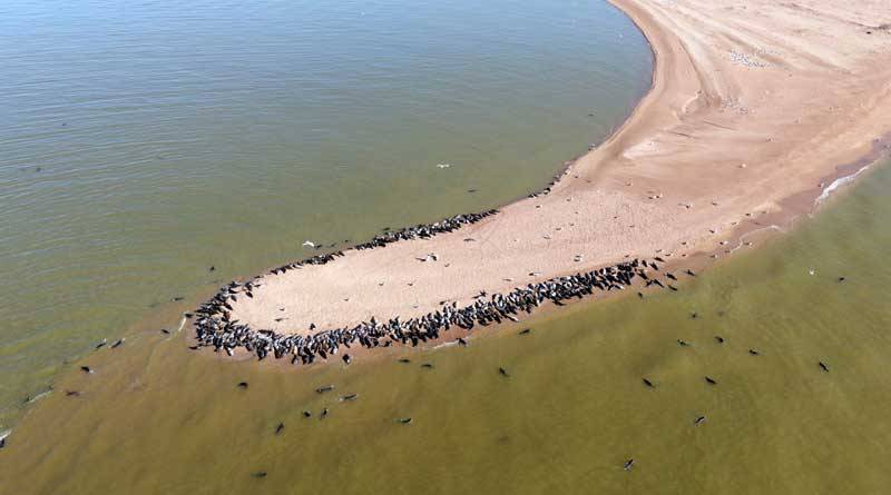 Обложка места Остров Малый Жемчужный