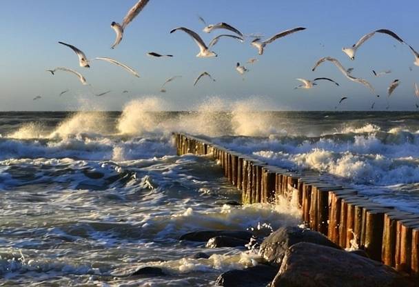 Брызги Балтики: Зеленоградск и Куршская коса