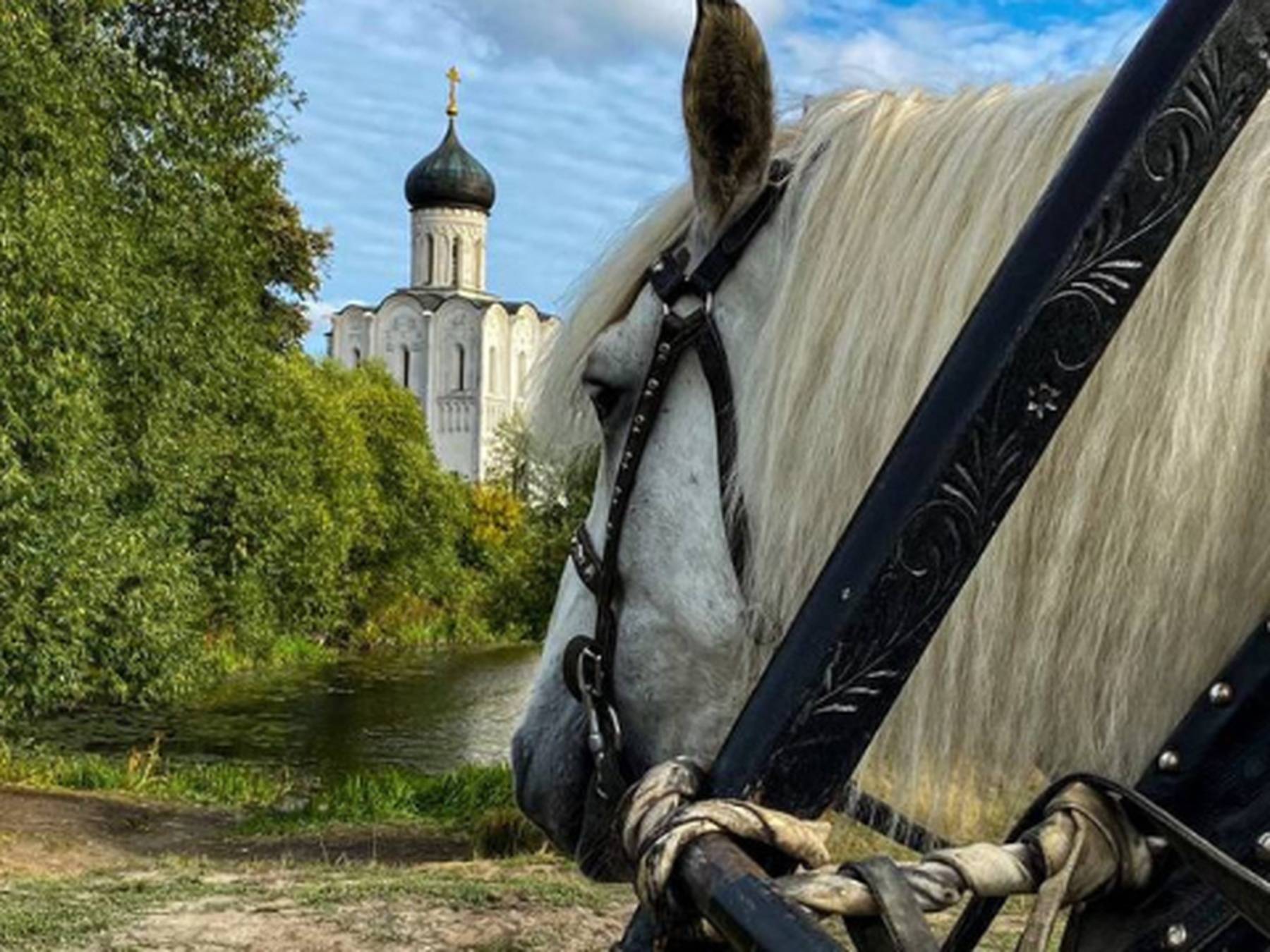 Владимир с продолжением