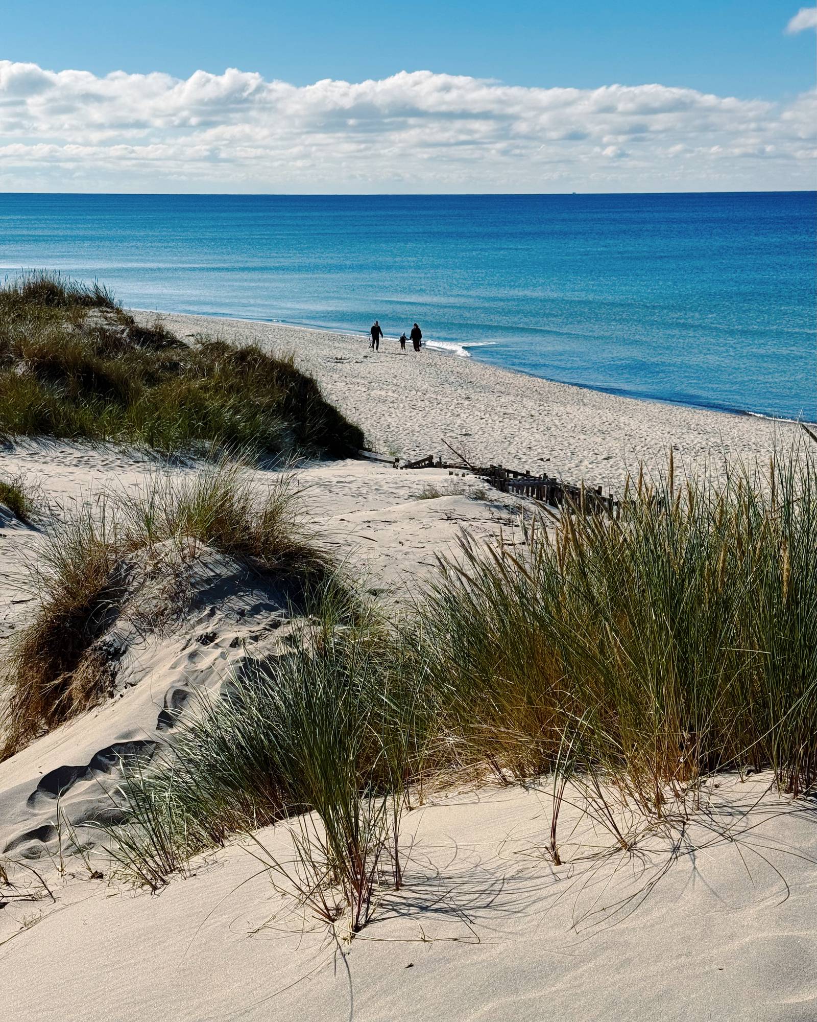 Балтийск и Янтарный
