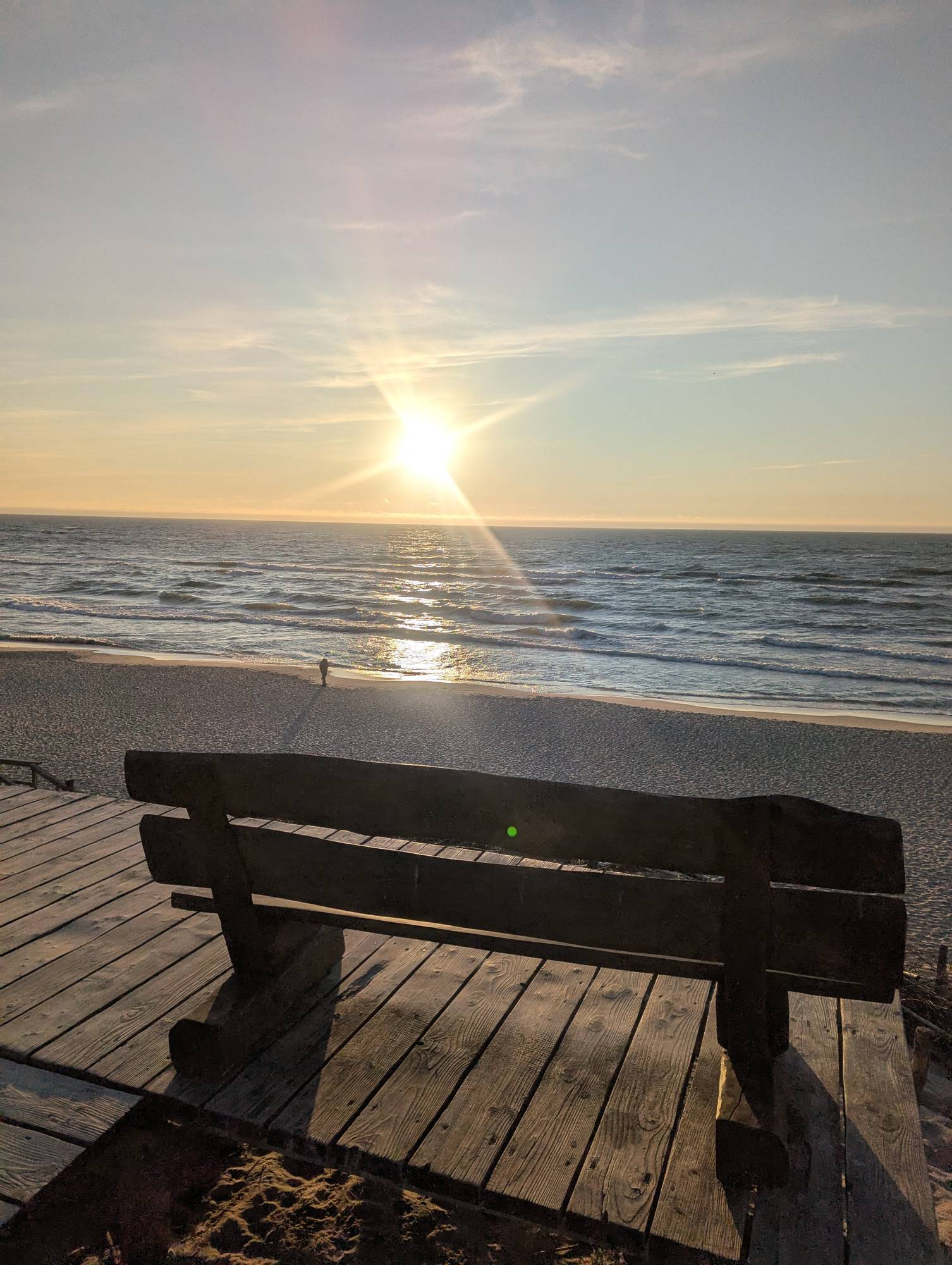 Куршская коса — царство леса и песка