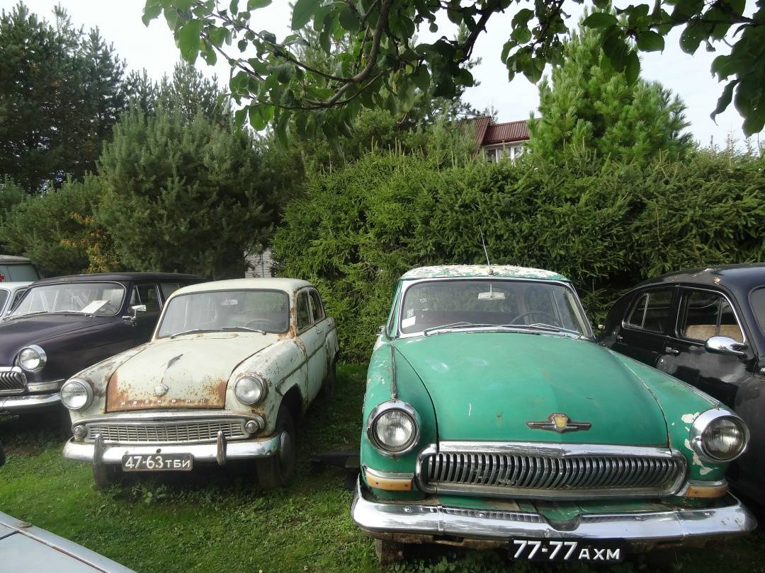 Индивидуальная экскурсия в Вологде: назад в СССР и зоопарк