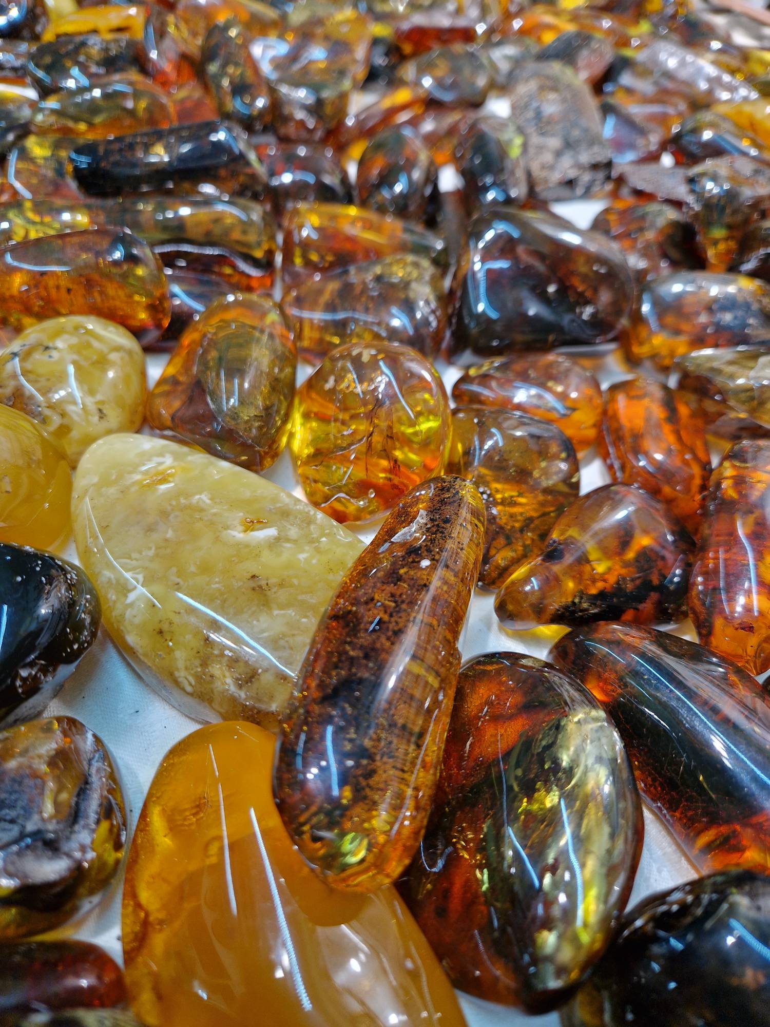 Янтарный + Светлогорск