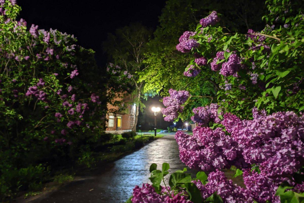 Музей-заповедник С.В. Рахманинова «Ивановка»