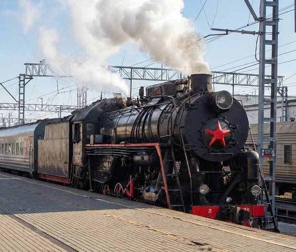 Ретропоезд в Гусь-Хрустальный за диковинным цветком