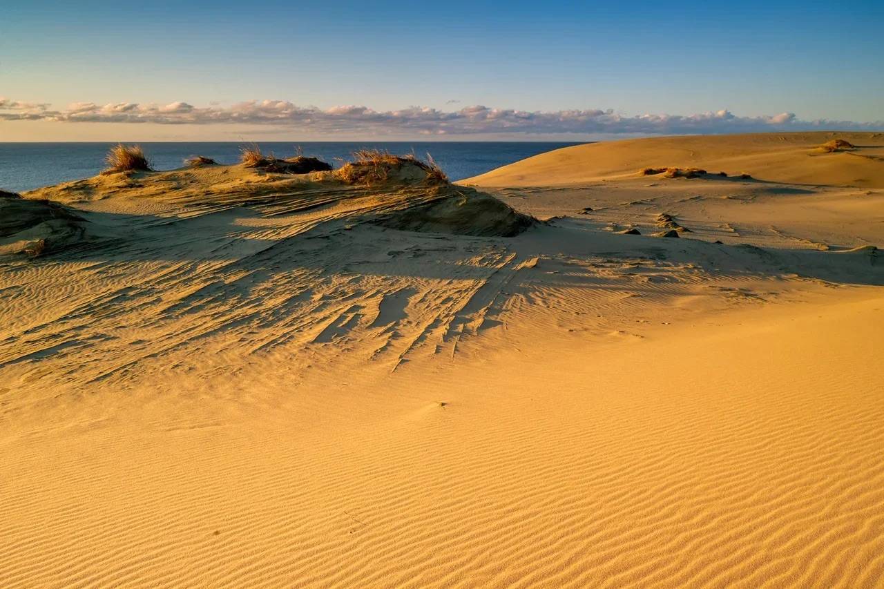 Зеленоградск и Куршская коса