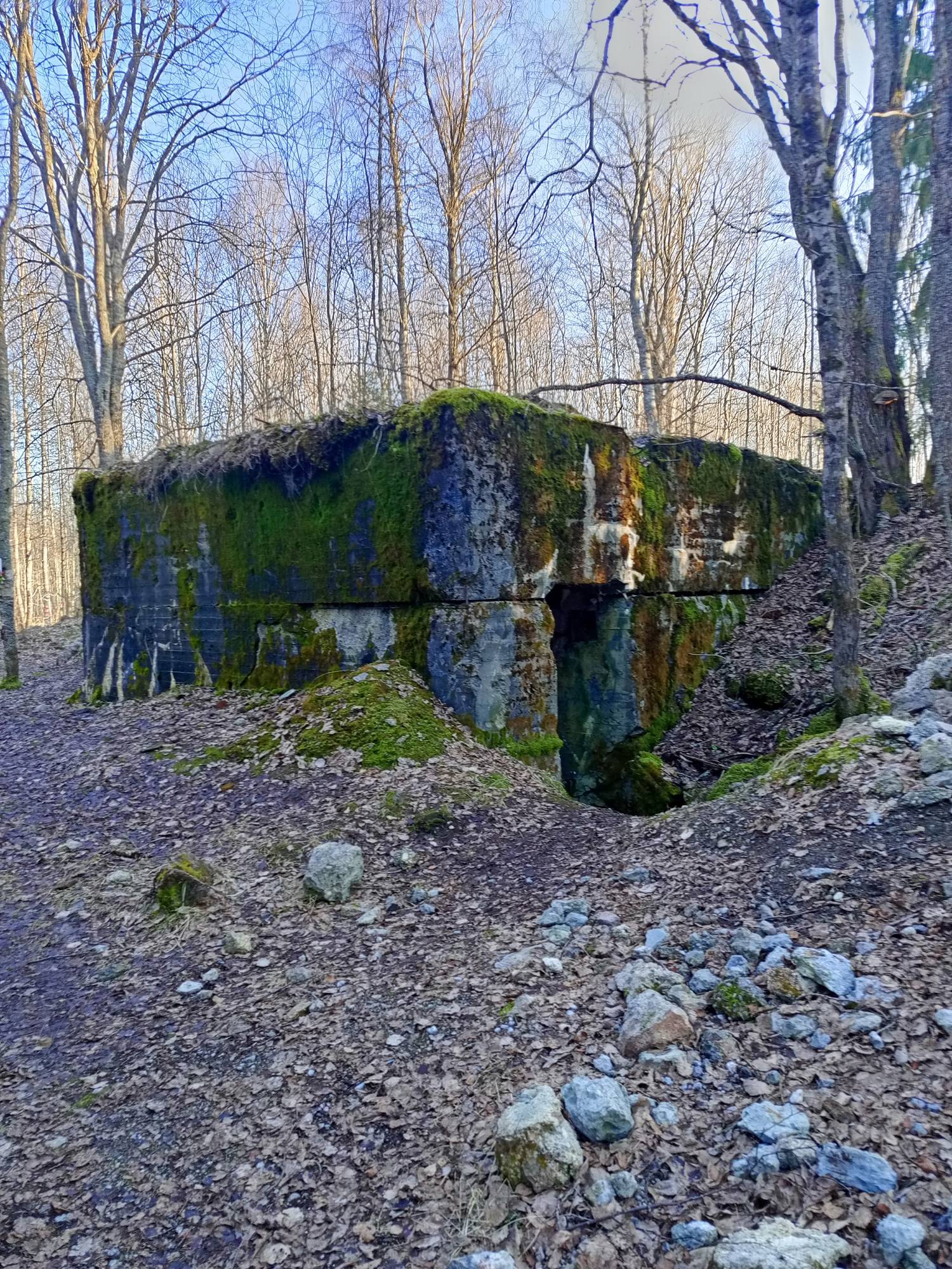 Линия Маннергейма