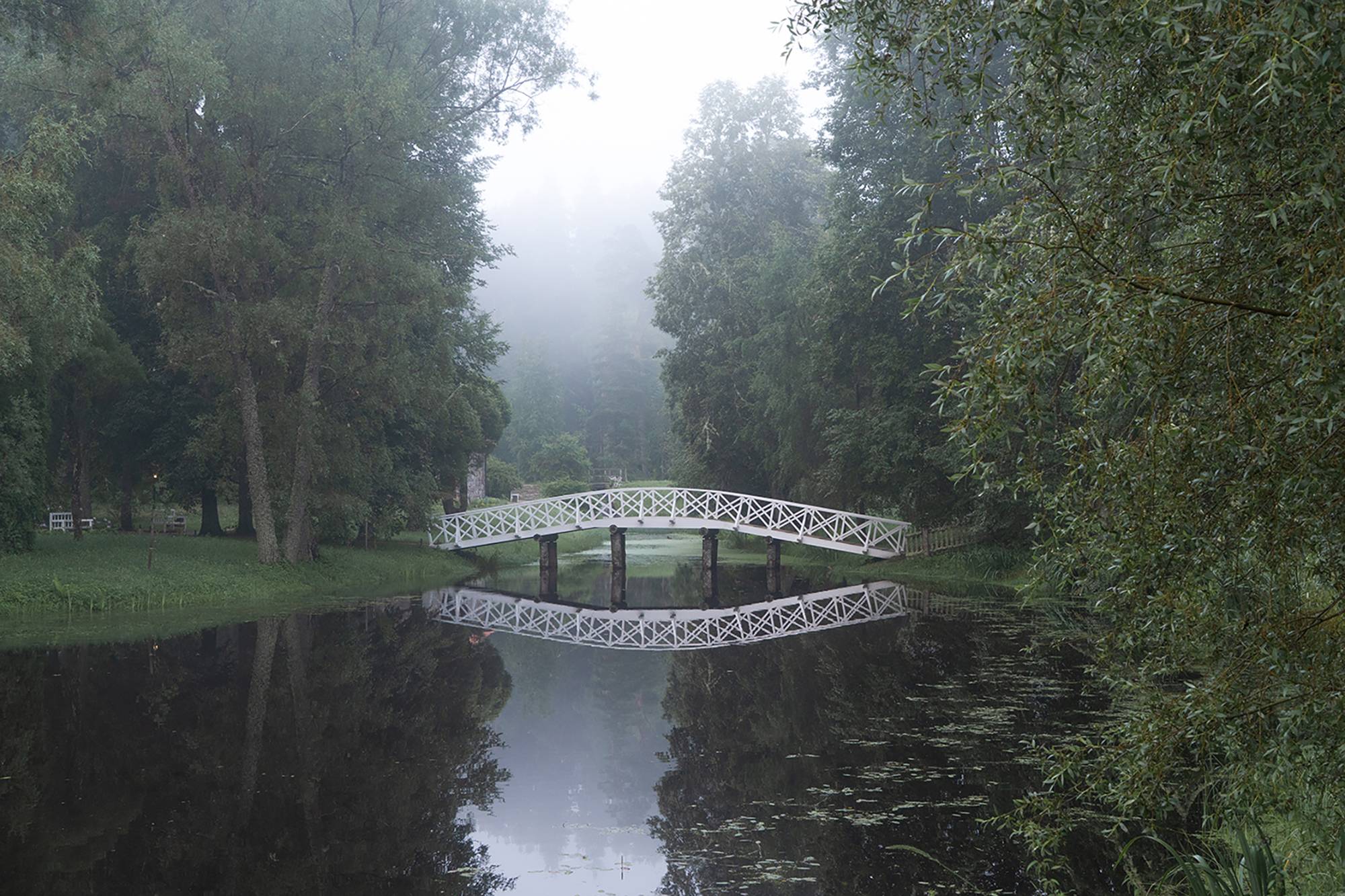 Пушкинские Горы с выездом из Пскова