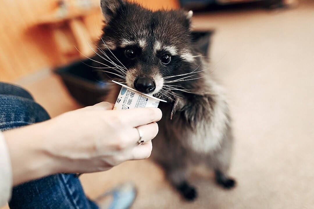 «Салют, Победа!» в Оренбурге