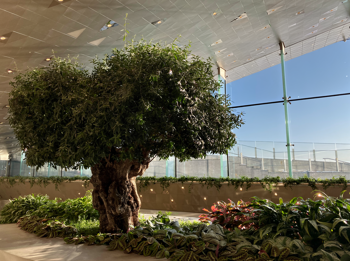 Территория рекордов: прогулка вокруг Лахта-Центра