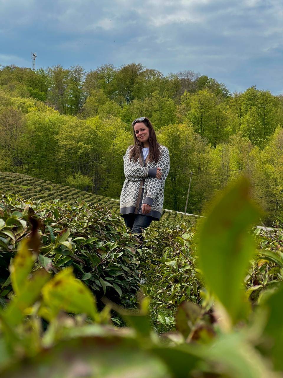 Чайные плантации Солох-Аула и Озера любви