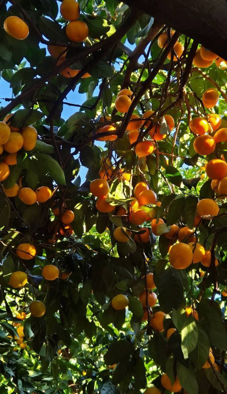 Места силы: Абхазия, Новый Афон, озеро Рица, Гагра