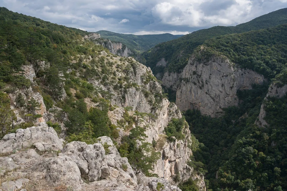 Вид на Большой каньон Крыма с отвесными скалами и лесом