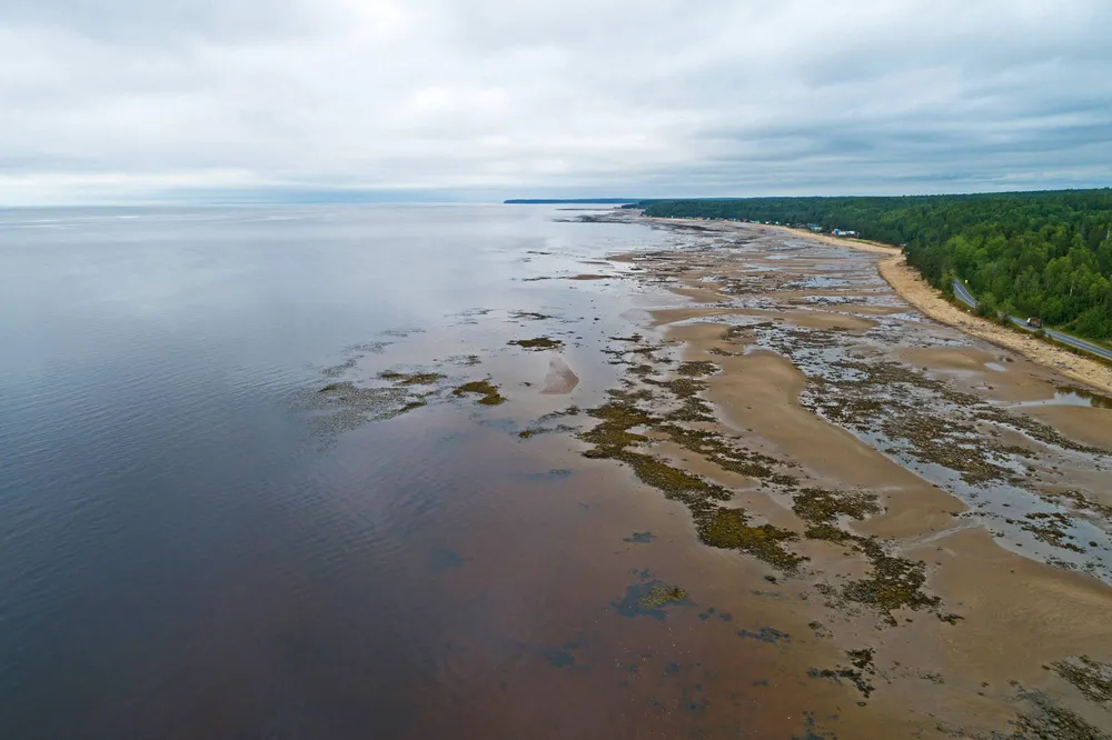 Береговая линия Белого моря во время отлива