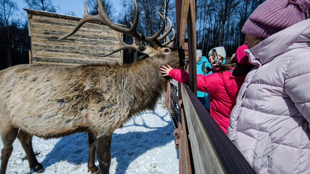 Зюраткуль