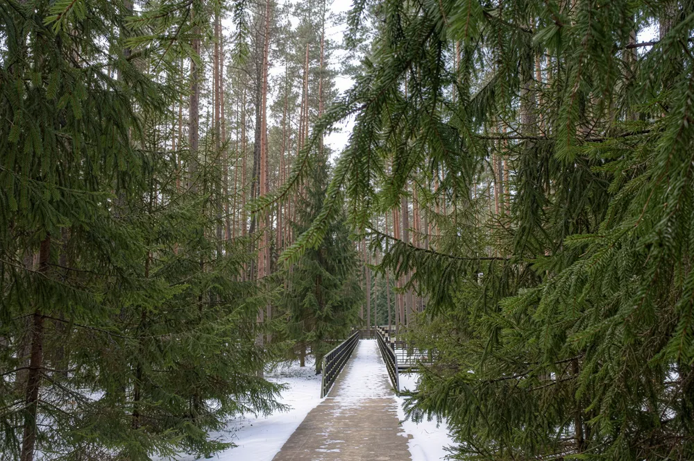 Тайны Катынского расстрела. Разгадки. Доказательства