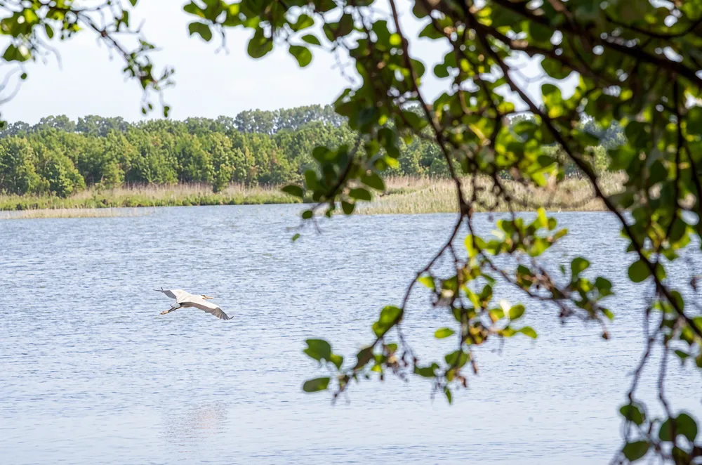 Озеро Чайка