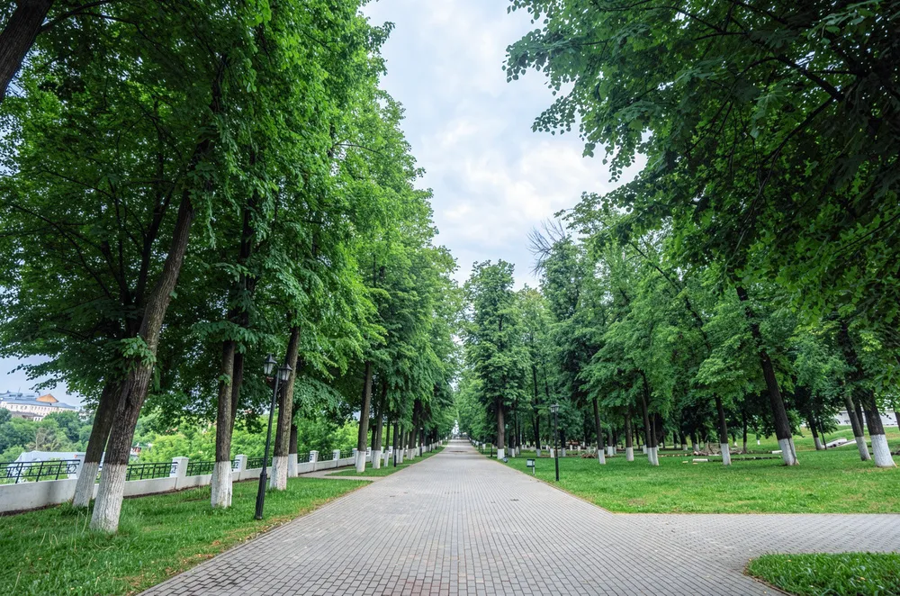 Дмитриевский собор