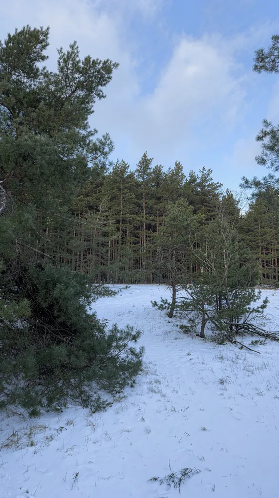 День наедине с природой. Куршская коса