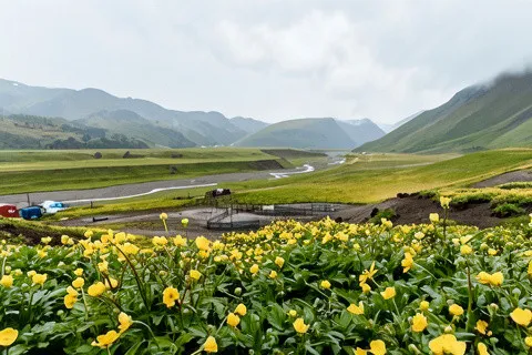 Поляна Эммануэля