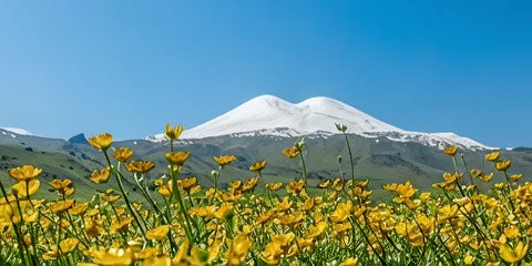 Поляна Эммануэля