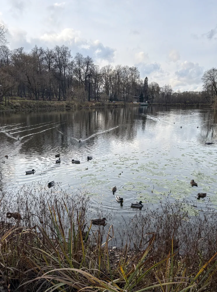 Городской парк
