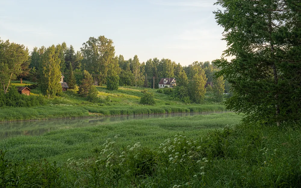 Лес