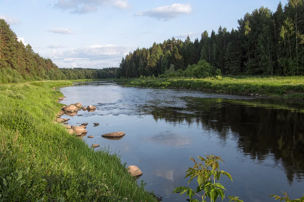 Река Тверца