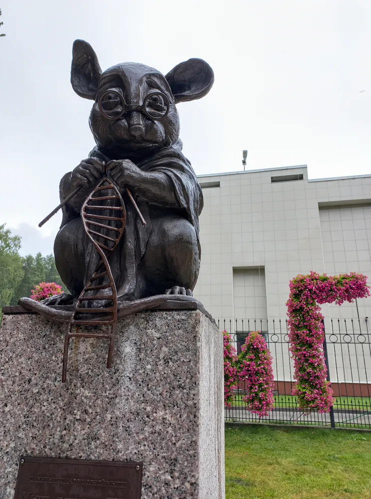 Весь Новосибирск за день