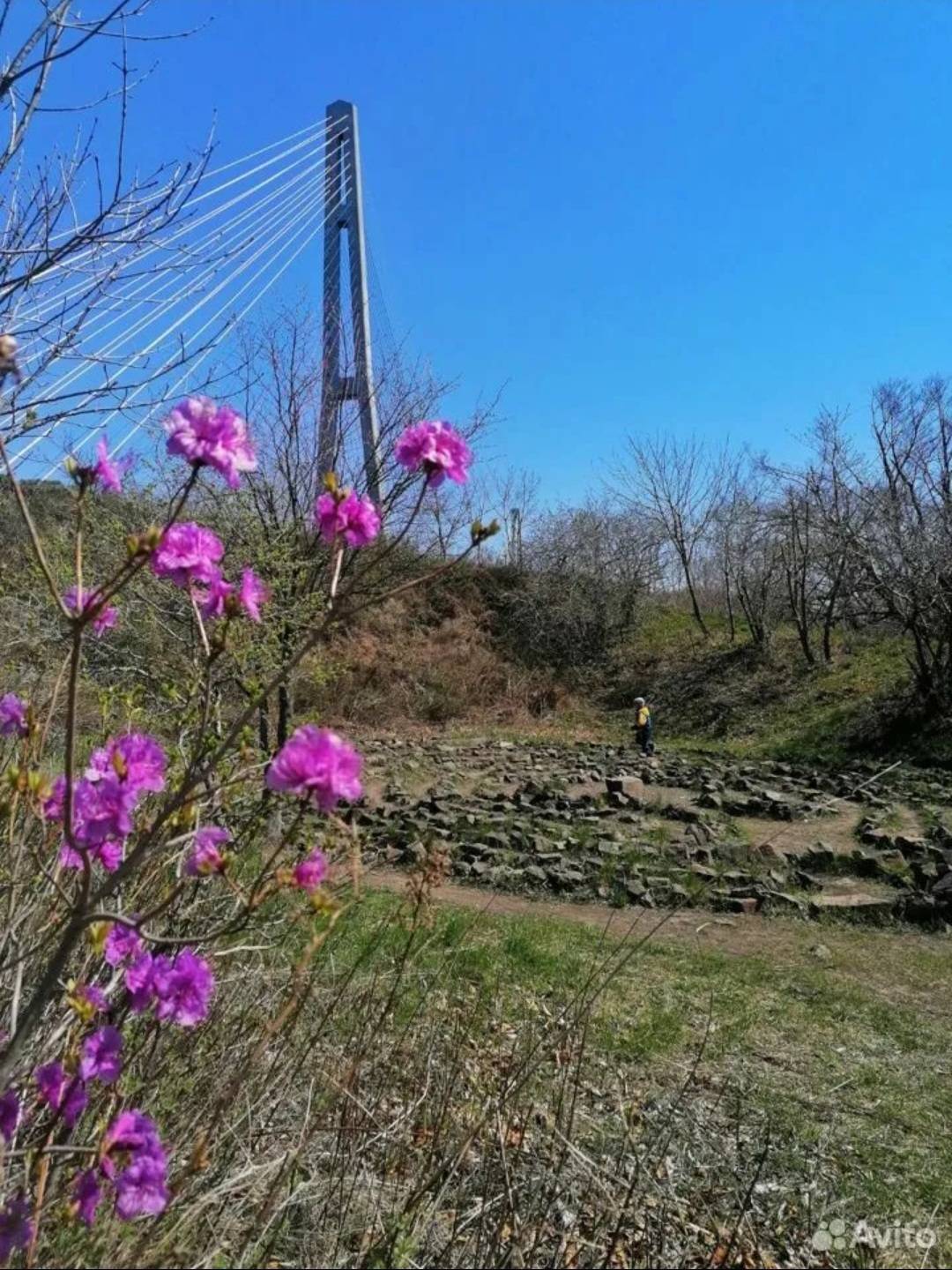 Цитадель Русского острова