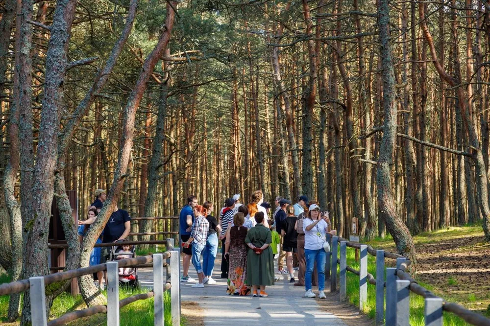 Зеленоградск и Куршская коса