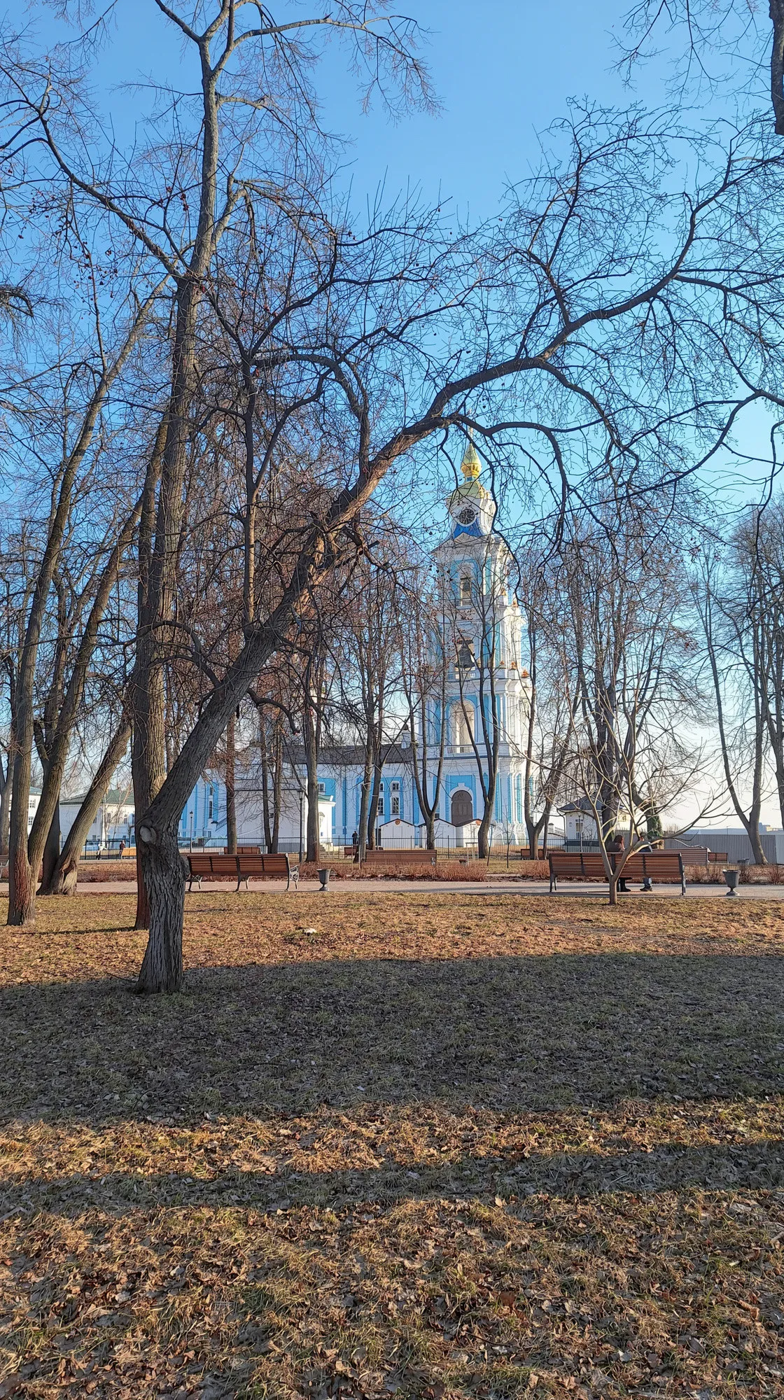Кострома и её обитатели