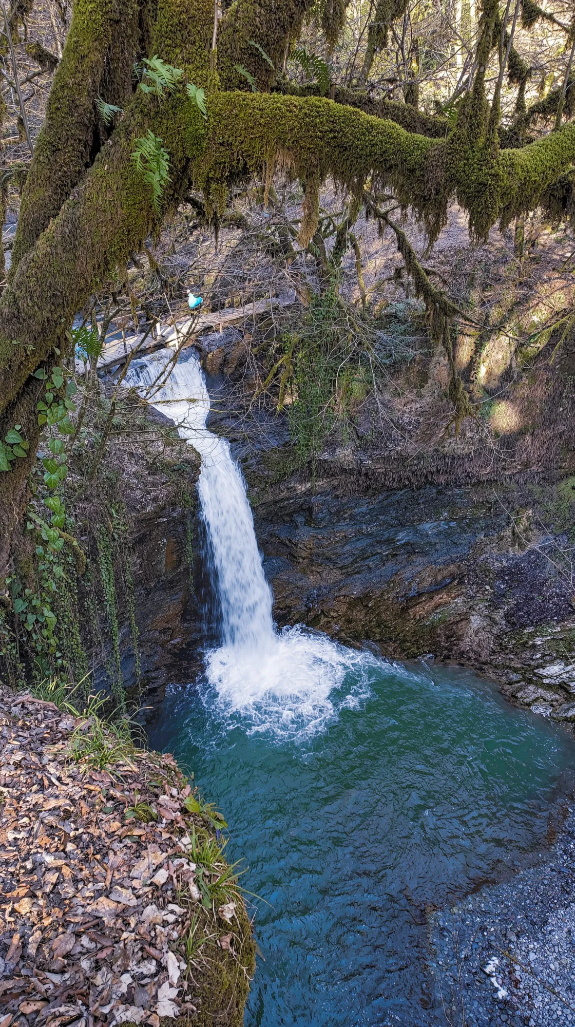 В жаркий день – лес и тень. Отправляемся к Ажекским водопадам