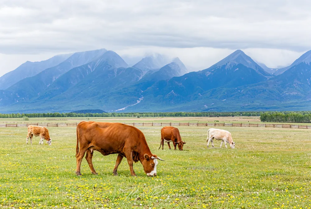 Из Иркутска в Саяны