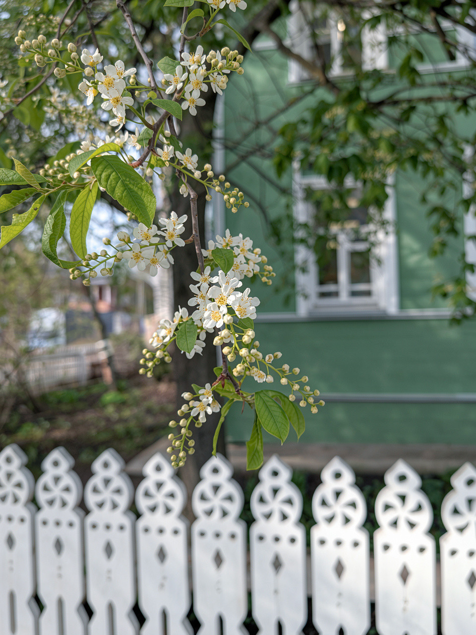 Влюбиться в Вологду