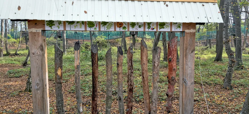 Самурский лес